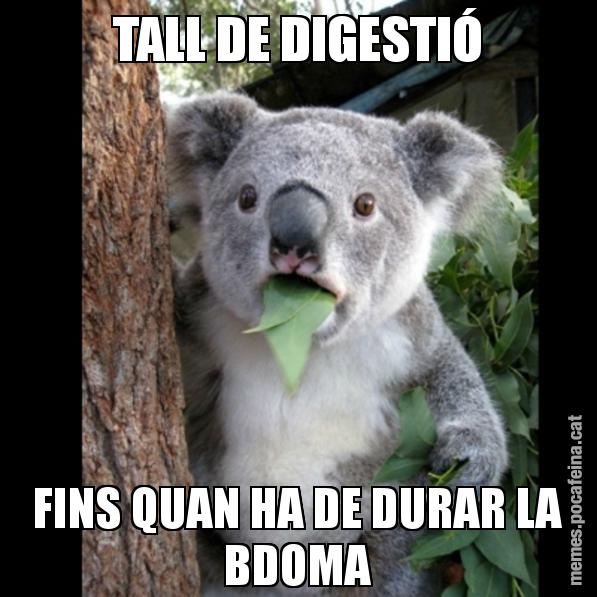 TALL DE DIGESTIÓ FINS QUAN HA DE DURAR LA BDOMA - Koala Cant Believe It