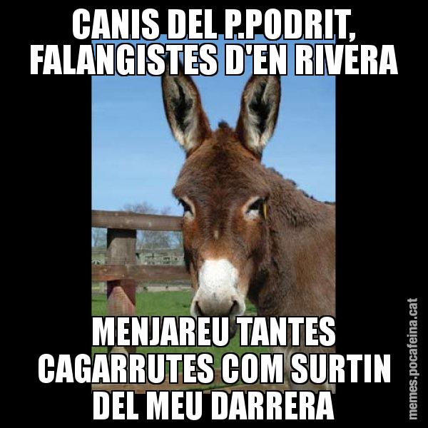 CANIS DEL P.PODRIT, FALANGISTES D'EN RIVERA MENJAREU TANTES CAGARRUTES COM SURTIN DEL MEU DARRERA - El burro Català