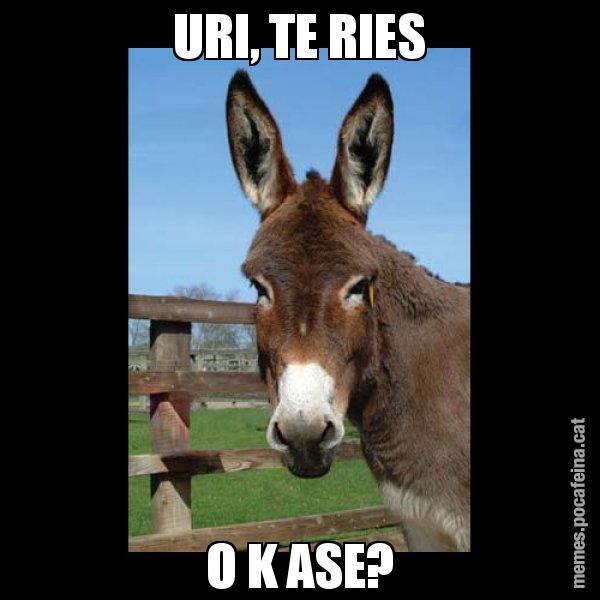 URI, TE RIES O K ASE? - El burro Català