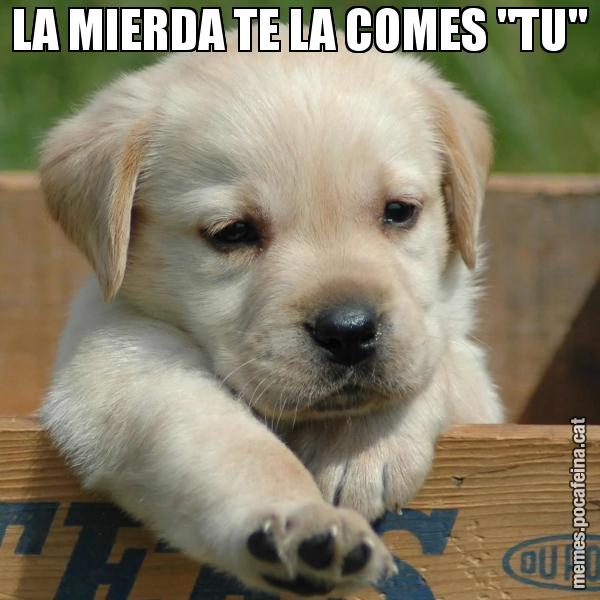 LA MIERDA TE LA COMES "TU"