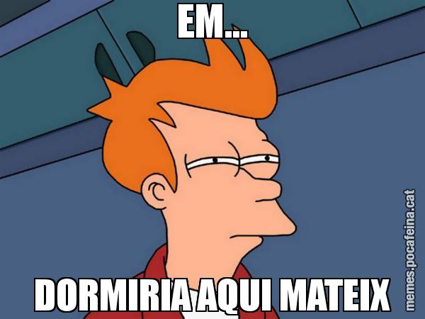 EM... DORMIRIA AQUI MATEIX - Futurama Fry