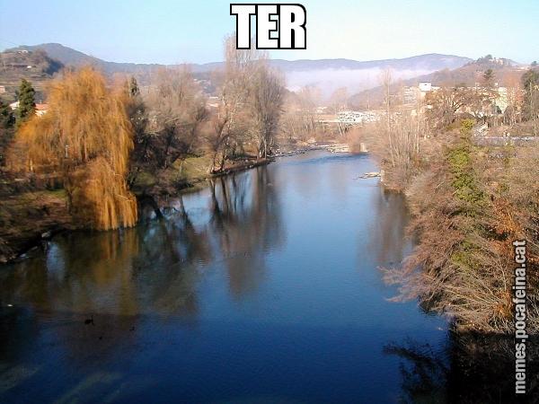 TER