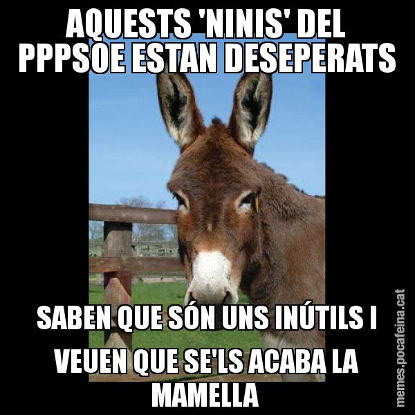 AQUESTS 'NINIS' DEL PPPSOE ESTAN DESEPERATS SABEN QUE SÓN UNS INÚTILS I VEUEN QUE SE'LS ACABA LA MAMELLA - El burro Català