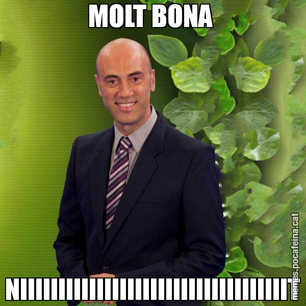 MOLT BONA  NIIIIIIIIIIIIIIIIIIIIIIIIIIIIIIIIIIIT - Tomàs Molina