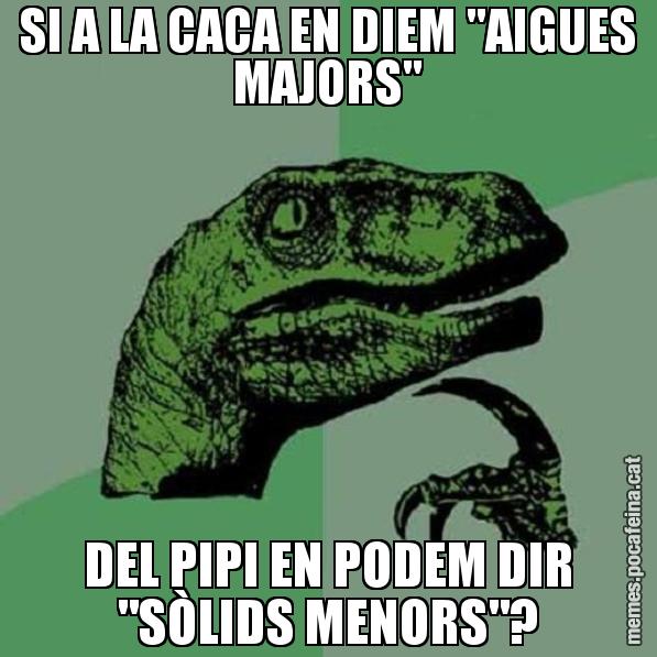 SI A LA CACA EN DIEM "AIGUES MAJORS" DEL PIPI EN PODEM DIR "SÒLIDS MENORS"? - Philosoraptor