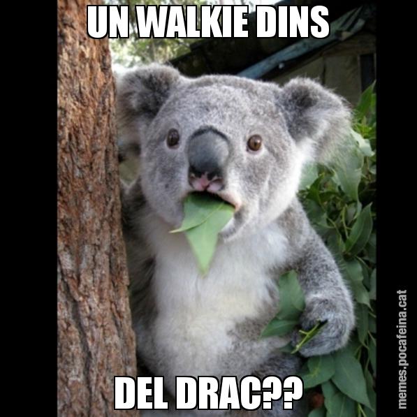 UN WALKIE DINS DEL DRAC?? - Koala Cant Believe It