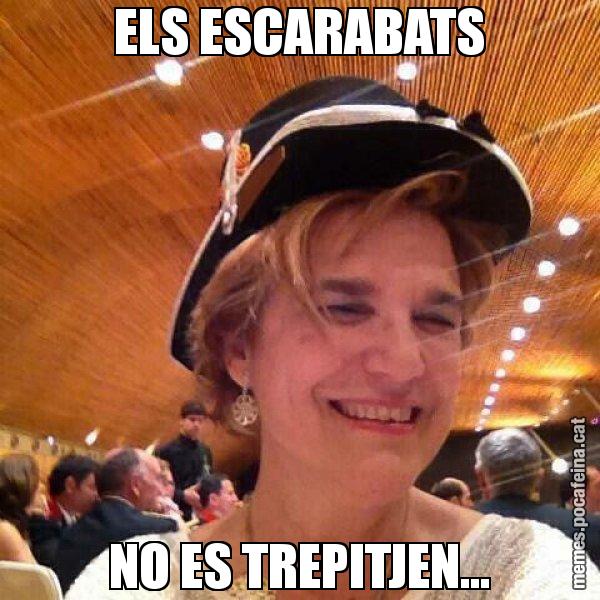 ELS ESCARABATS NO ES TREPITJEN... - Rahola Mossa