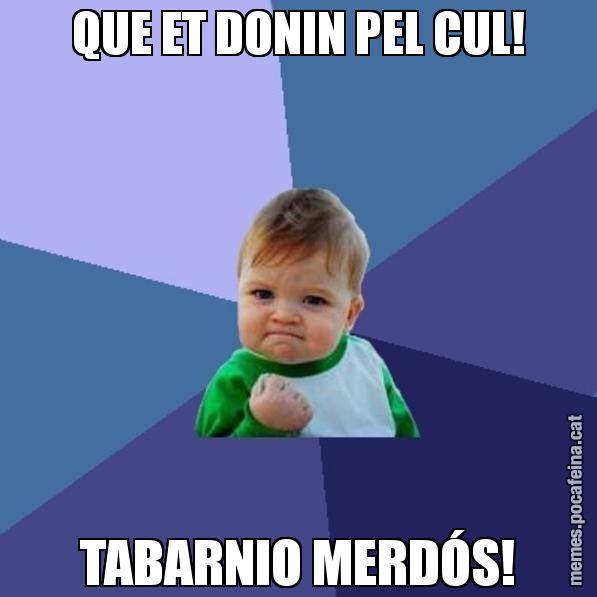 QUE ET DONIN PEL CUL! TABARNIO MERDÓS! - Success Kid