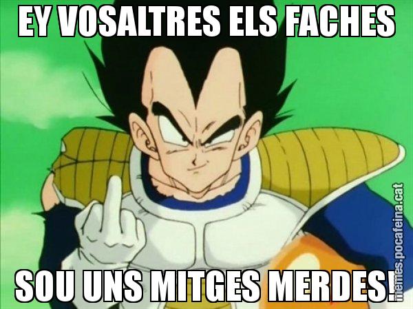 EY VOSALTRES ELS FACHES SOU UNS MITGES MERDES! - Vegeta