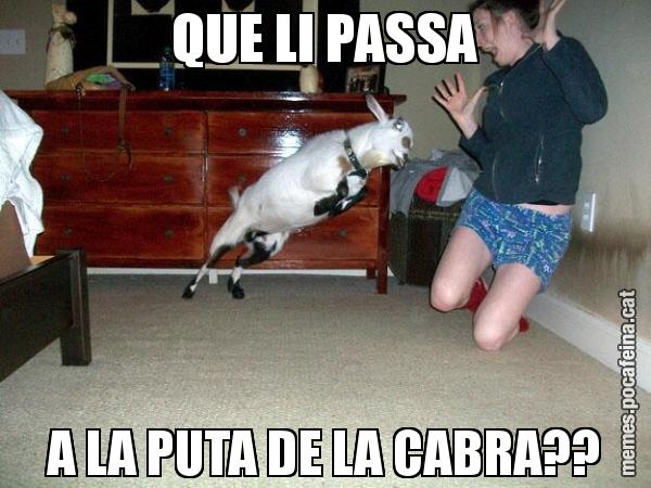 QUE LI PASSA A LA PUTA DE LA CABRA??