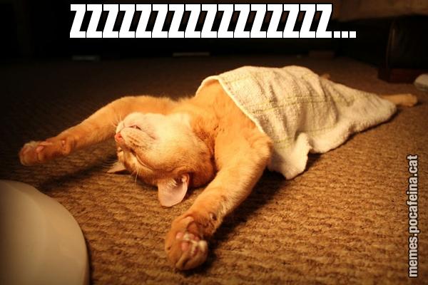 ZZZZZZZZZZZZZZZZ...