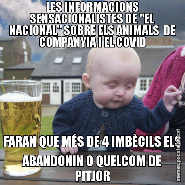 LES INFORMACIONS SENSACIONALISTES DE "EL NACIONAL" SOBRE ELS ANIMALS  DE COMPANYIA I EL COVID FARAN QUE MÉS DE 4 IMBÈCILS ELS ABANDONIN O QUELCOM DE PITJOR - El nen begut