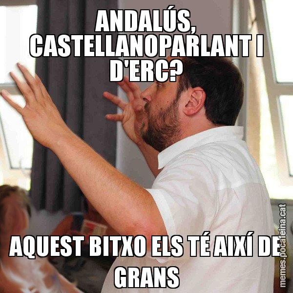 ANDALÚS, CASTELLANOPARLANT I D'ERC? AQUEST BITXO ELS TÉ AIXÍ DE GRANS - Oriol Junqueras