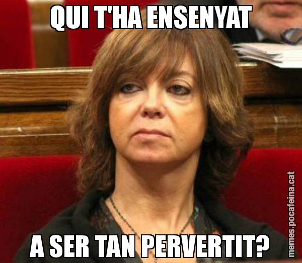 QUI T'HA ENSENYAT A SER TAN PERVERTIT?