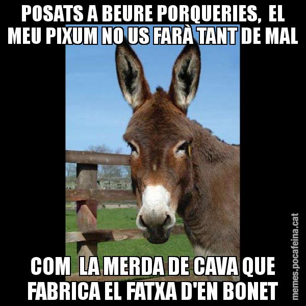 POSATS A BEURE PORQUERIES, EL MEU PIXUM NO US FARÀ TANT DE MAL COM LA MERDA DE CAVA QUE FABRICA EL FATXA D'EN BONET - El burro Català