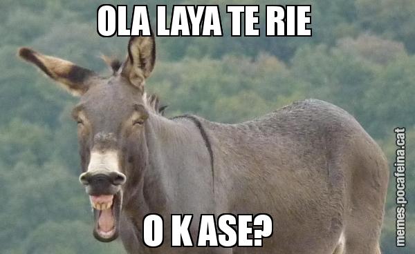 OLA LAYA TE RIE  O K ASE?