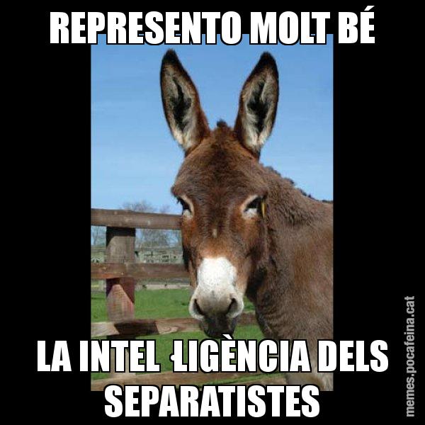 REPRESENTO MOLT BÉ LA INTEL·LIGÈNCIA DELS SEPARATISTES - El burro Català