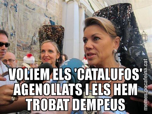 VOLIEM ELS 'CATALUFOS' AGENOLLATS I ELS HEM TROBAT DEMPEUS