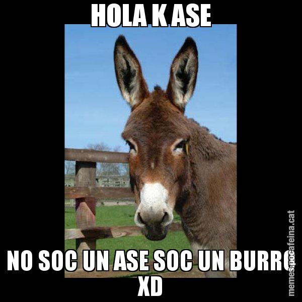 HOLA K ASE NO SOC UN ASE SOC UN BURRO XD - El burro Català