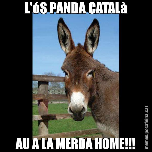 L'óS PANDA CATALà AU A LA MERDA HOME!!! - El burro Català