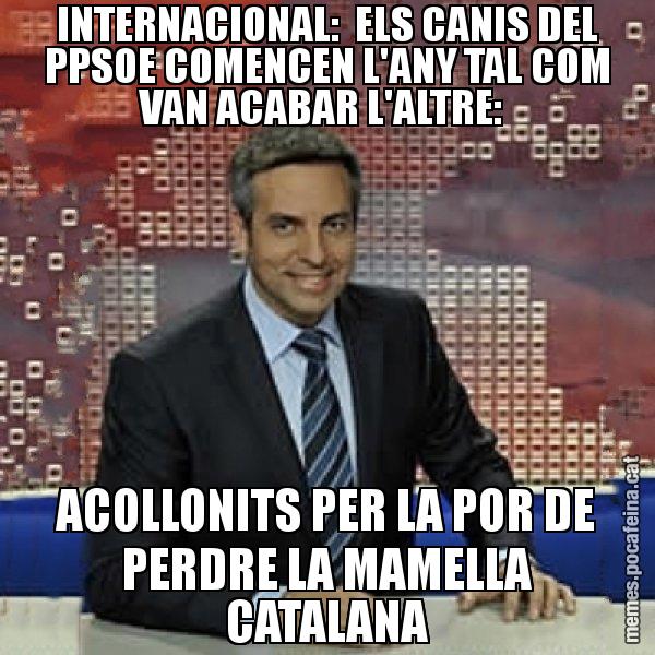 INTERNACIONAL: ELS CANIS DEL PPSOE COMENCEN L'ANY TAL COM VAN ACABAR L'ALTRE: ACOLLONITS PER LA POR DE PERDRE LA MAMELLA CATALANA - Trollicer