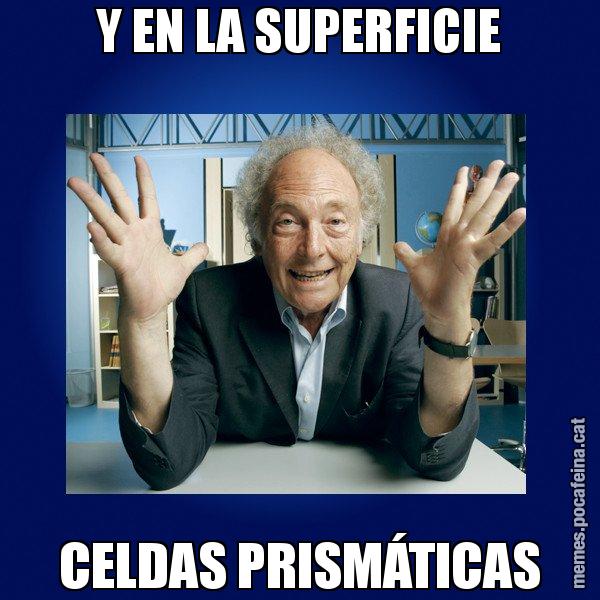 Y EN LA SUPERFICIE CELDAS PRISMÁTICAS - Eduard Punset