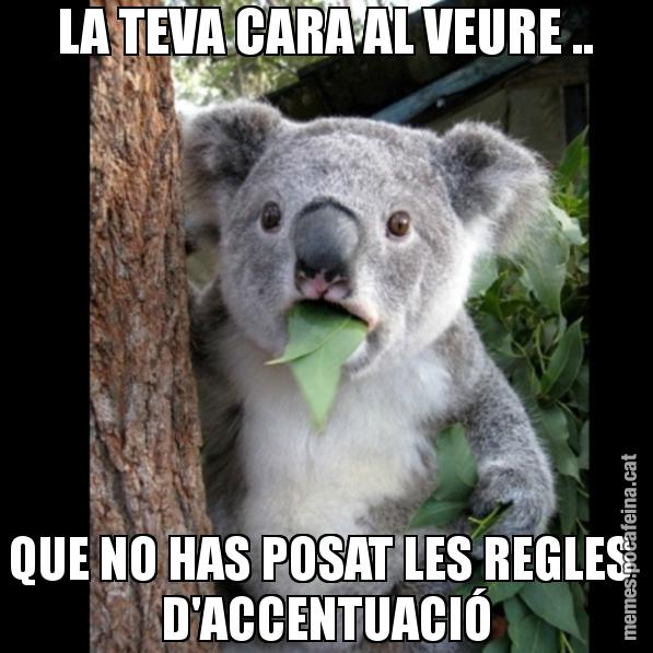 LA TEVA CARA AL VEURE .. QUE NO HAS POSAT LES REGLES  D'ACCENTUACIÓ - Koala Cant Believe It