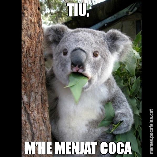 TIU, M'HE MENJAT COCA - Koala Cant Believe It