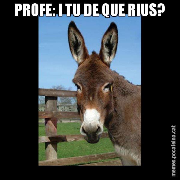 PROFE: I TU DE QUE RIUS? - El burro Català