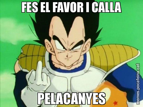 FES EL FAVOR I CALLA PELACANYES - Vegeta