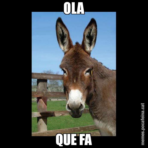 OLA QUE FA - El burro Català