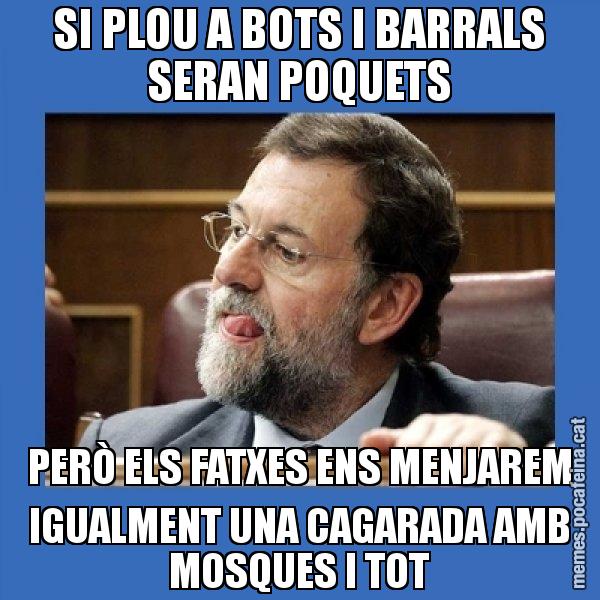 SI PLOU A BOTS I BARRALS SERAN POQUETS PERÒ ELS FATXES ENS MENJAREM IGUALMENT UNA CAGARADA AMB MOSQUES I TOT - Mmmmmariano Rajoy