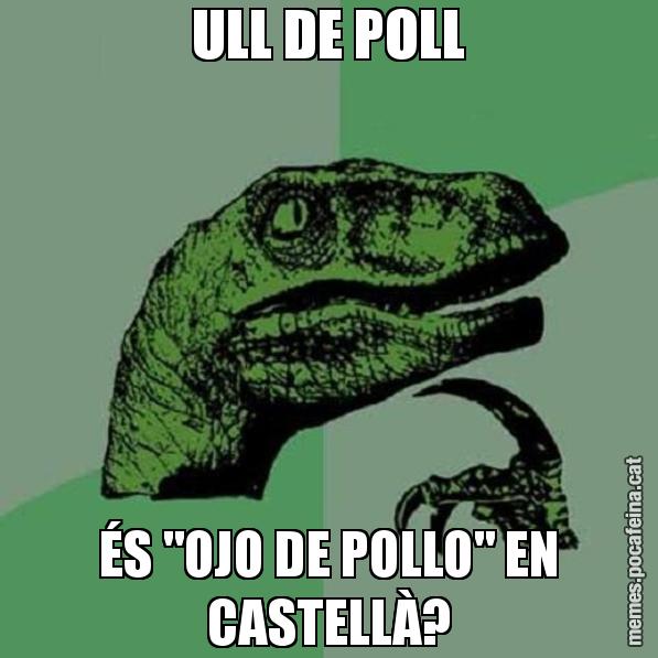 ULL DE POLL ÉS "OJO DE POLLO" EN CASTELLÀ? - Philosoraptor