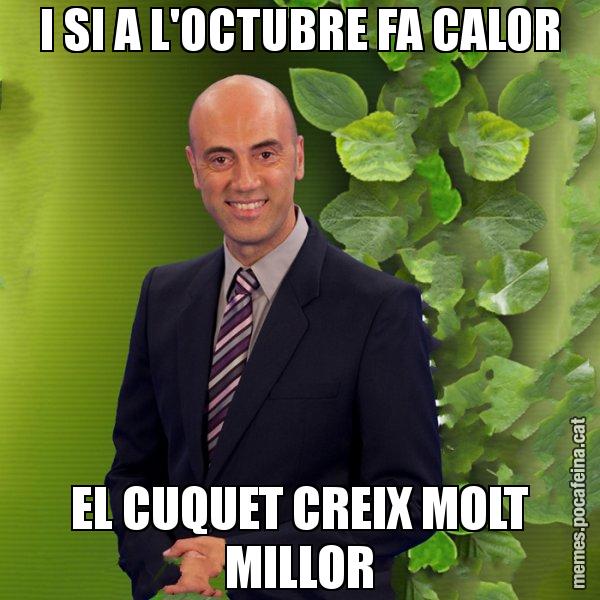 I SI A L'OCTUBRE FA CALOR EL CUQUET CREIX MOLT MILLOR - Tomàs Molina