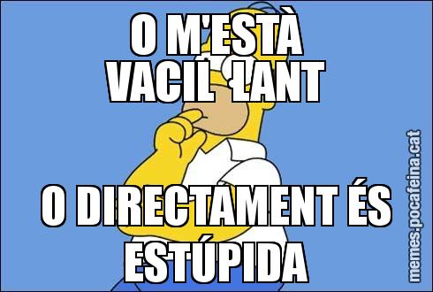 O M'ESTÀ VACIL·LANT O DIRECTAMENT ÉS ESTÚPIDA