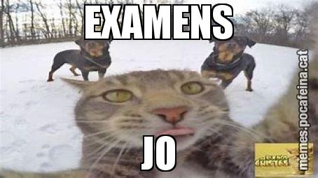 EXAMENS JO