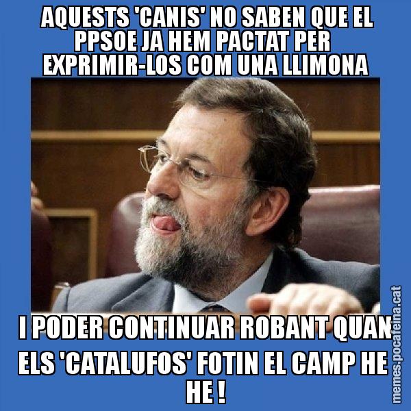 AQUESTS 'CANIS' NO SABEN QUE EL PPSOE JA HEM PACTAT PER  EXPRIMIR-LOS COM UNA LLIMONA I PODER CONTINUAR ROBANT QUAN ELS 'CATALUFOS' FOTIN EL CAMP HE  HE ! - Mmmmmariano Rajoy