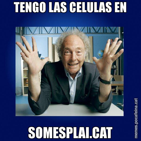 TENGO LAS CELULAS EN SOMESPLAI.CAT - Eduard Punset