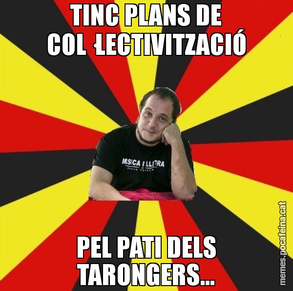 TINC PLANS DE COL·LECTIVITZACIÓ PEL PATI DELS TARONGERS... - David Fernàndez