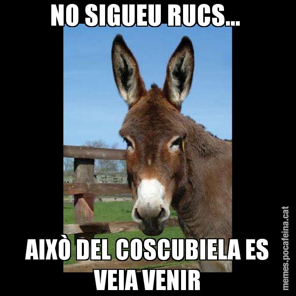 NO SIGUEU RUCS...  AIXÒ DEL COSCUBIELA ES VEIA VENIR - El burro Català