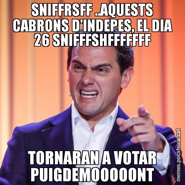SNIFFRSFF ..AQUESTS CABRONS D'INDEPES, EL DIA 26 SNIFFFSHFFFFFFF TORNARAN A VOTAR PUIGDEMOOOOONT