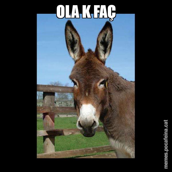 OLA K FAÇ - El burro Català