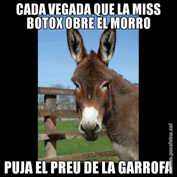 CADA VEGADA QUE LA MISS BOTOX OBRE EL MORRO PUJA EL PREU DE LA GARROFA - El burro Català