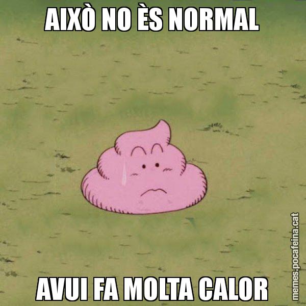 AIXÒ NO ÈS NORMAL AVUI FA MOLTA CALOR - Caca