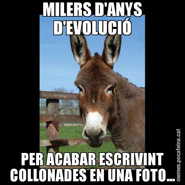 MILERS D'ANYS D'EVOLUCIÓ PER ACABAR ESCRIVINT COLLONADES EN UNA FOTO... - El burro Català