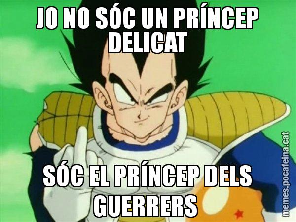 JO NO SÓC UN PRÍNCEP DELICAT SÓC EL PRÍNCEP DELS GUERRERS - Vegeta