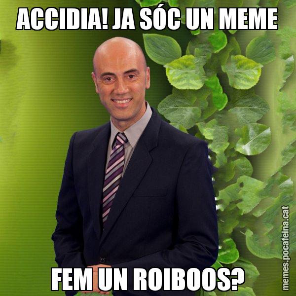 ACCIDIA! JA SÓC UN MEME FEM UN ROIBOOS? - Tomàs Molina