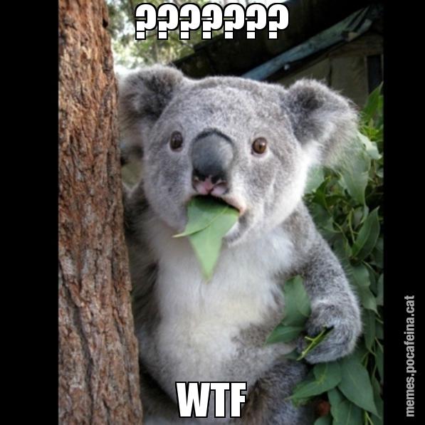 ??????? WTF - Koala Cant Believe It