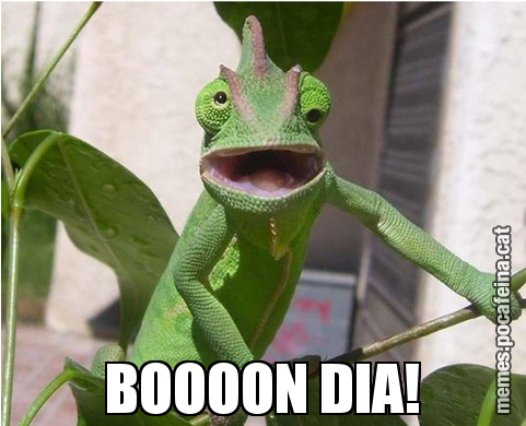 BOOOON DIA!