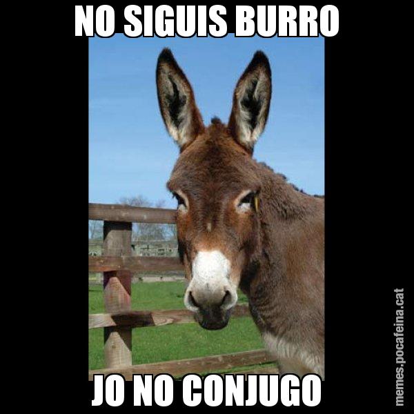 NO SIGUIS BURRO JO NO CONJUGO - El burro Català